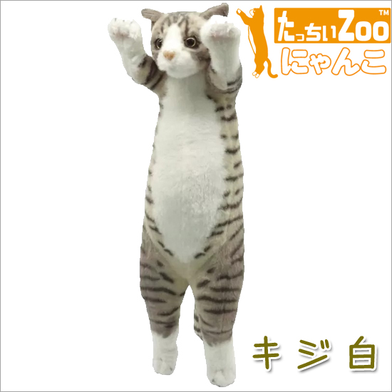 白い猫のぬいぐるみ 616ukSwrw7L._UF350,350_QL80_.jpg
