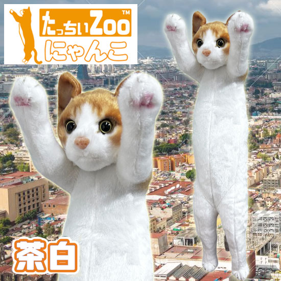 たっちぃZoo にゃんこ 茶白 猫のぬいぐるみ : ソプラノYahoo!店 - 通販