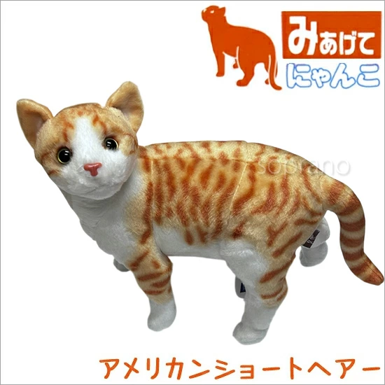 みあげてにゃんこ アメリカンショートヘアー 猫のぬいぐるみ