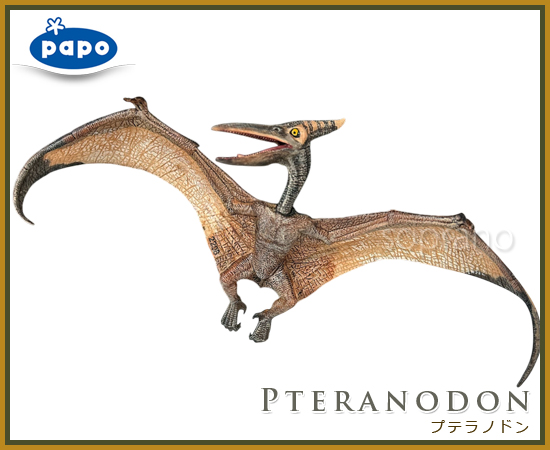 papo パポ 恐竜フィギュア 55006 プテラノドン : ソプラノYahoo
