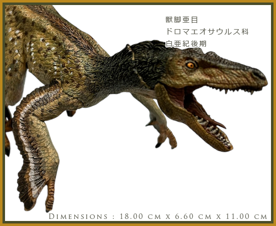 papo パポ 恐竜フィギュア 55086 ベロキラプトル 羽毛