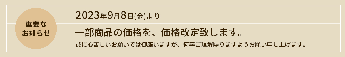 ʲ