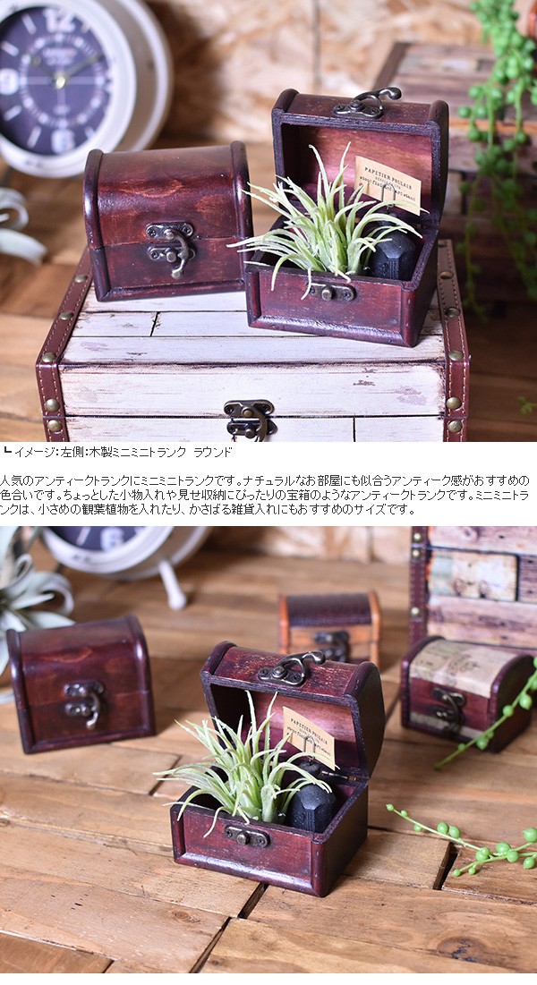 木製ミニミニトランク ミニモ ラウンド 木箱 トランク 収納 