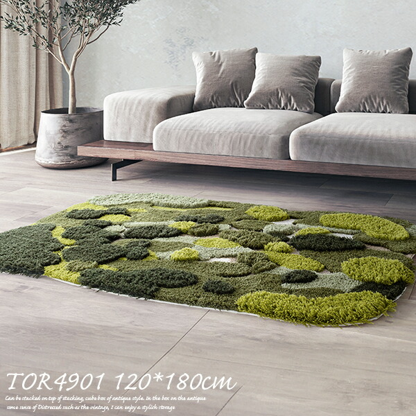 2024-tor162.jpg
