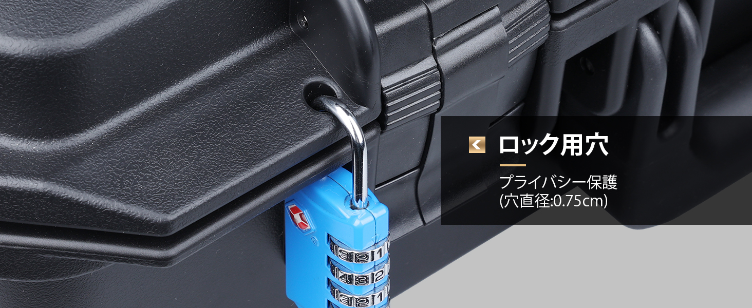 Lykus HC-4610 防水防塵 プロテクターケース 格子状カットスポンジ内蔵