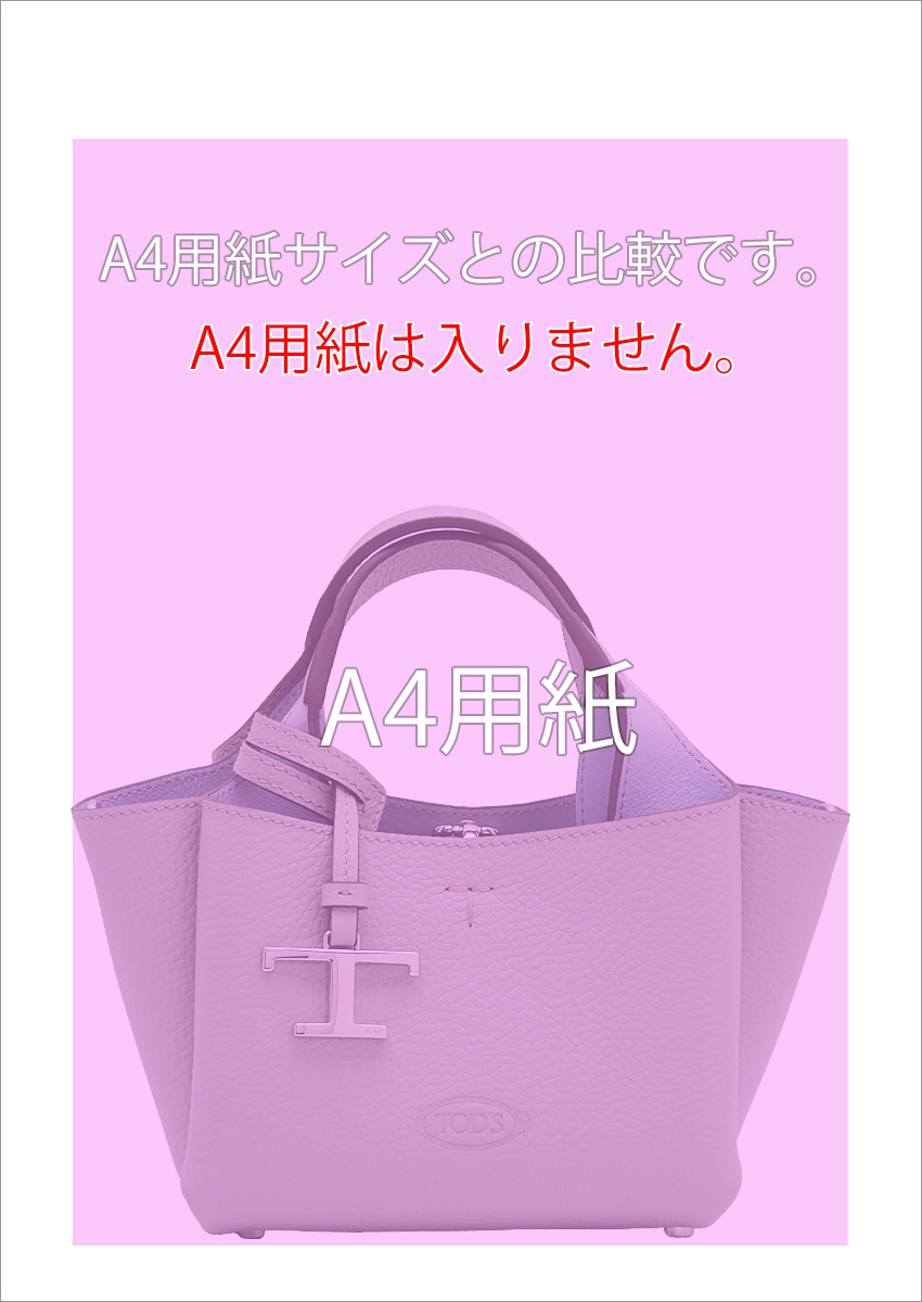 TOD'S トッズ レザー バッグ マイクロ XBWAPAFL000QRI4L15
