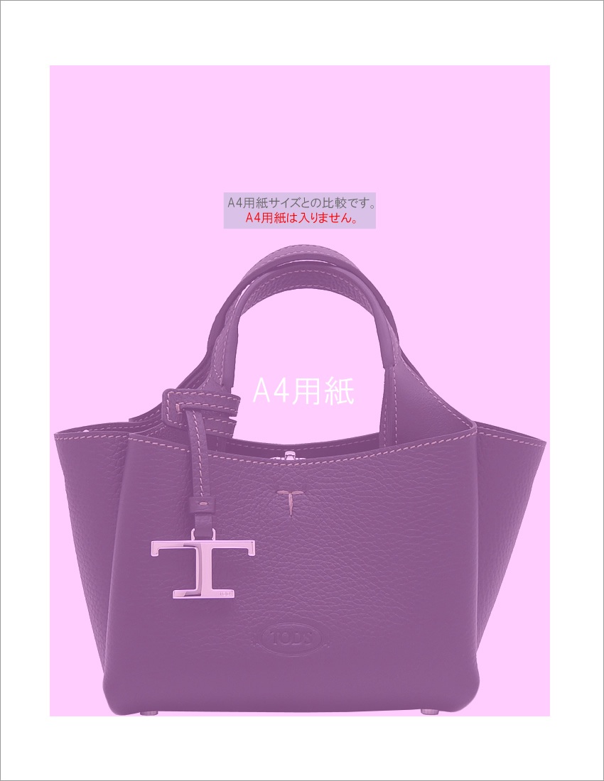 TOD'S トッズ レザー バッグ マイクロ XBWAPAFL000QRIB999 tods