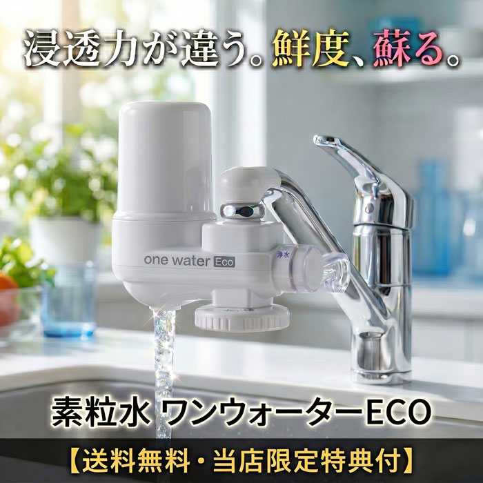 浄水器 蛇口直結型 素粒水 ワンウォーターECO 【正規代理店】 本体2年