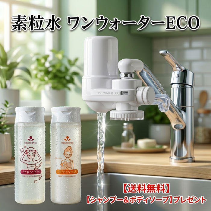 浄水器 蛇口直結型 素粒水 ワンウォーターECO 【正規代理店】 本体2年