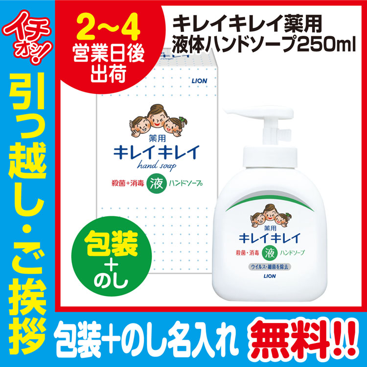 超激安 大切な 引っ越し 挨拶 品物 ギフト 粗品 工事 挨拶まわり 初盆 お返し ライオン キレイキレイ 液体 ハンドソープ 本体 250ml 包装 のし nanaokazaki.com nanaokazaki.com