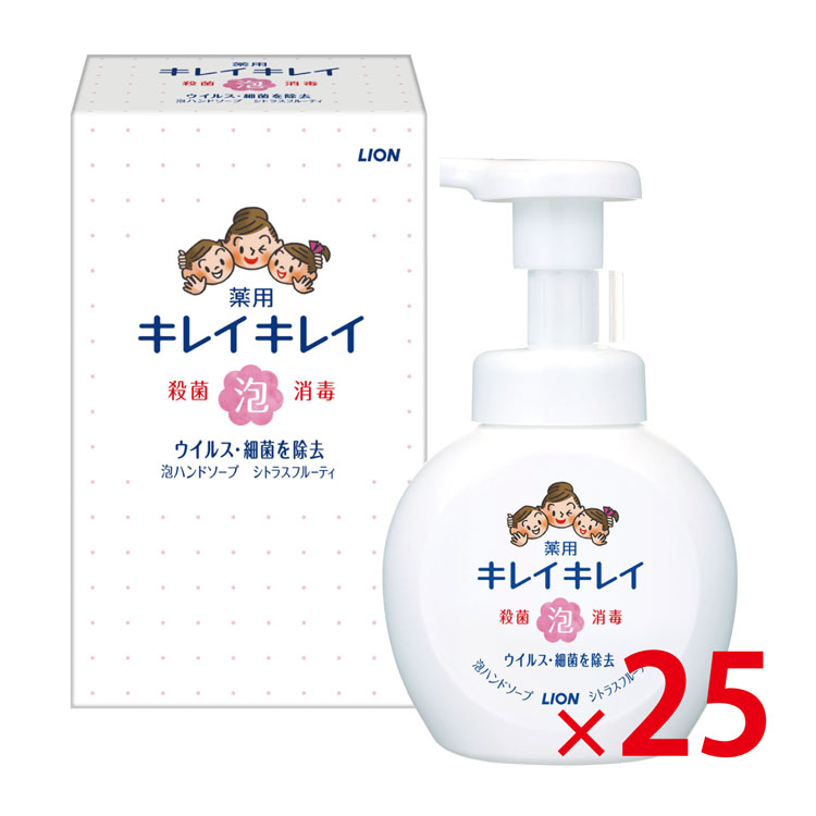 【送料無料（北海道・沖縄除く）】ライオン キレイキレイ薬用泡ハンドソープ250ml 箱入 25個セット [SP]