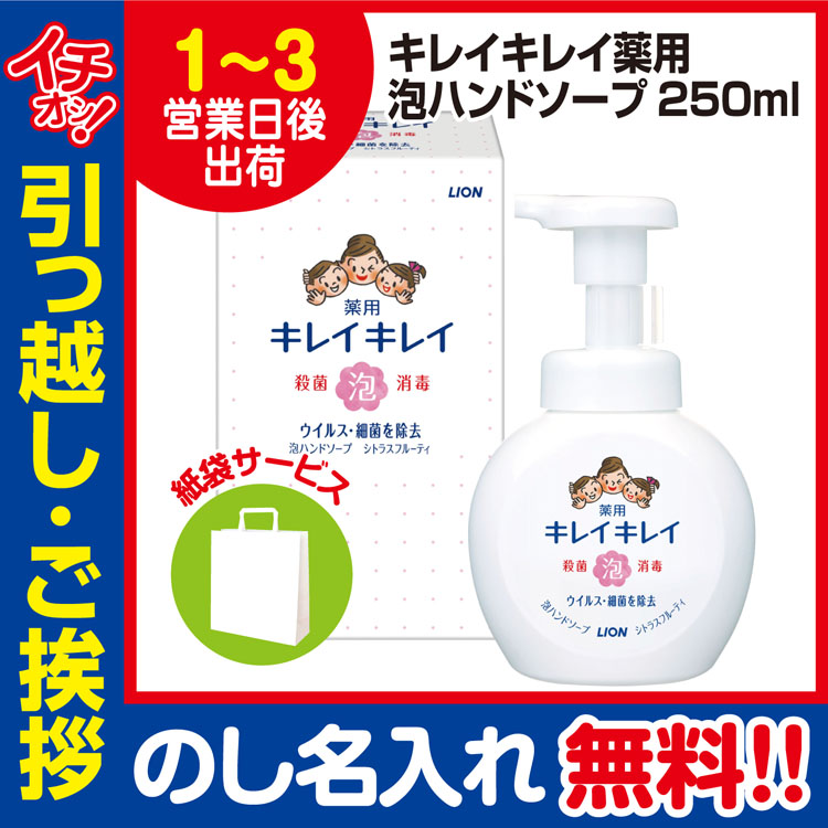 品質一番の 信託 引っ越し 挨拶 品物 ギフト 粗品 工事 挨拶まわり 初盆 お返し ライオン キレイキレイ 泡 ハンドソープ 本体 250ml のし 手提げ紙袋付 you-plaza.sakura.ne.jp you-plaza.sakura.ne.jp