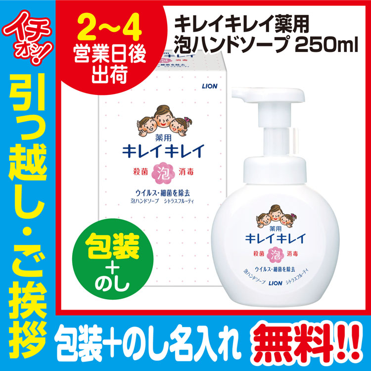 2022春夏新作 格安SALEスタート 引っ越し 挨拶 品物 ギフト 粗品 工事 挨拶まわり 初盆 お返し ライオン キレイキレイ 泡 ハンドソープ 本体 250ml 包装 のし rsworks.co.jp rsworks.co.jp