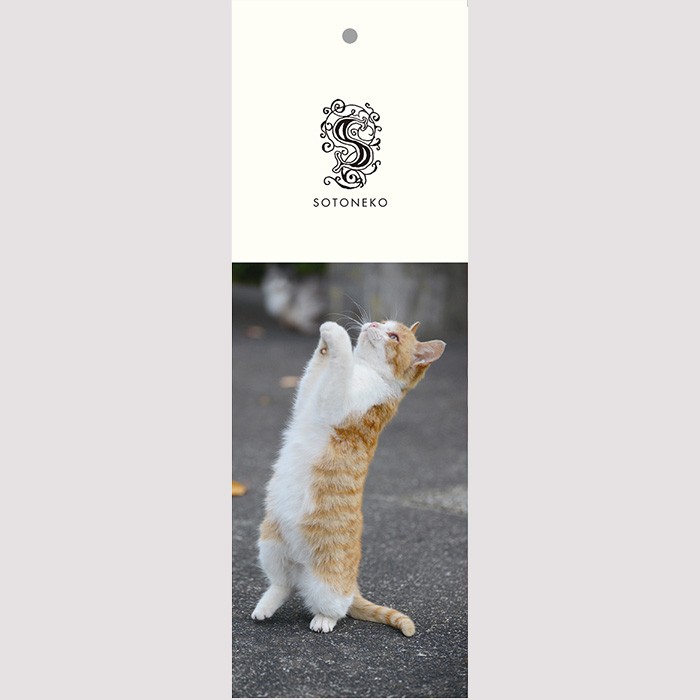 しおり ブックマーク 猫写真 文房具 プレゼント かわいい おしゃれ ねこ雑貨 ハチワレ 茶トラ Cat Bookmark Wa Neko Sotoneko Japan 通販 Yahoo ショッピング