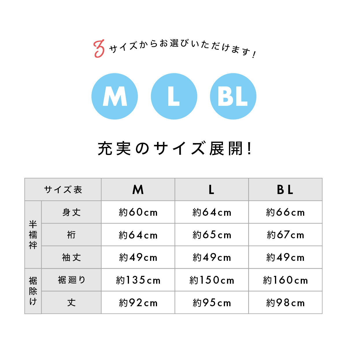 二部式 長襦袢 洗える 二部式襦袢 夏用 絽 襦袢 衣紋抜き 半襟 衿付き レディース フォーマル 送料無料 : assort-zib0003 :  きもの館 創美苑 - 通販 - Yahoo!ショッピング