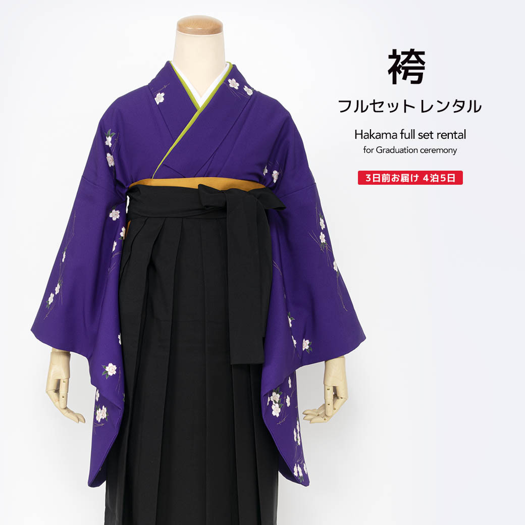 格安モード 黒/紫 蝶々柄 かっこいい グラマラス 派手 目立つ 人