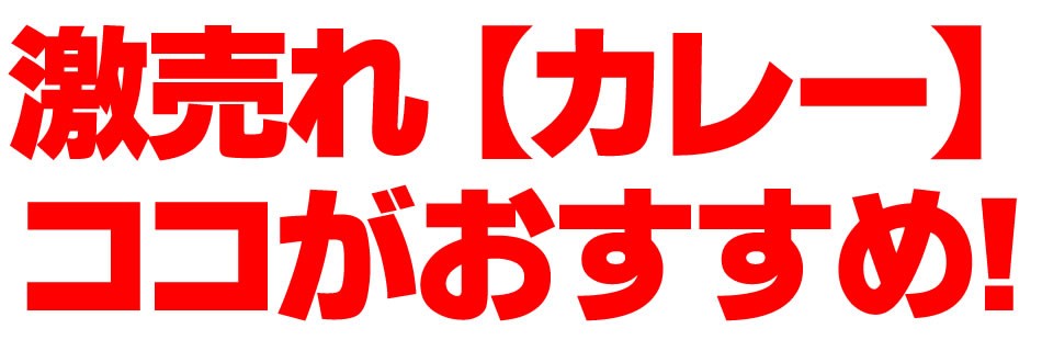 国産　カレー　牛すじ 牛肉　レトルト　スパイス　送料無料