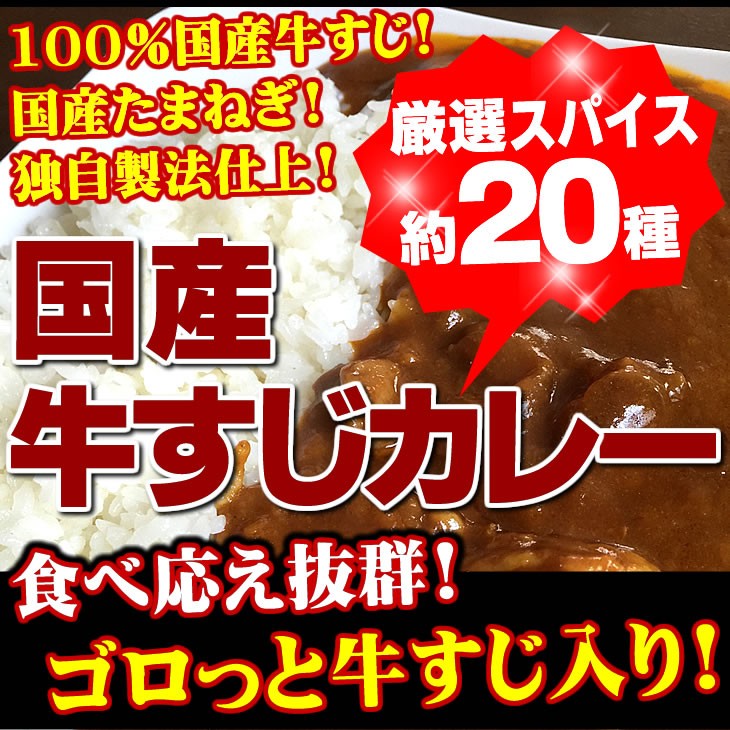 国産　カレー　牛すじ 牛肉　レトルト　スパイス　送料無料