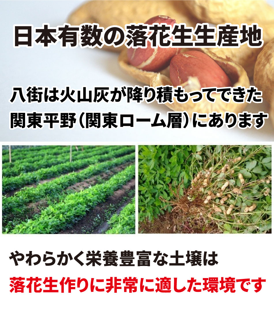 八街産 素焼き落花生クラフト袋 2袋 送料無料 お試し 業務用 おつまみ お取り寄せ 晩酌 ピーナッツ ナッツ :sc-yf-060-y:総合食品通販  - 通販 - Yahoo!ショッピング