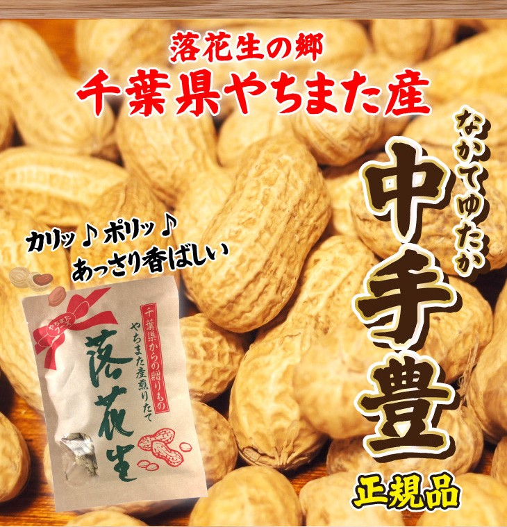 殻付き落花生 千葉県 国産 やちまた産 高級感あるクラフト袋 中手豊品種 110g×1袋 10g増量中 お菓子 ナッツ 送料無料 贅沢  :sc-yf-049-y:総合食品通販 - 通販 - Yahoo!ショッピング