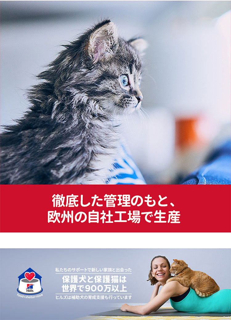 キャットフード 成猫 猫用 1〜6歳 チキン ドライ トライアル ( 2.8kg*4