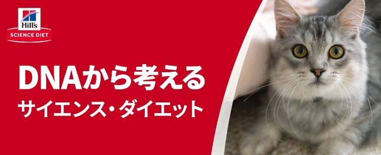 キャットフード シニアプラス 猫用 11歳以上 チキン 高齢猫 ドライ