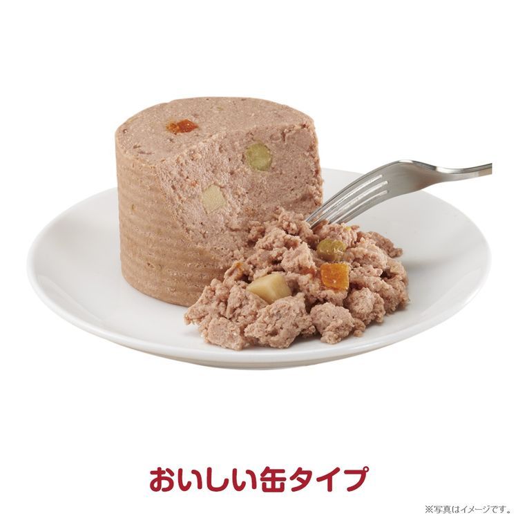 愛犬元気 缶 13歳以上用 ビーフ・緑黄色野菜入り ( 375g*24缶セット