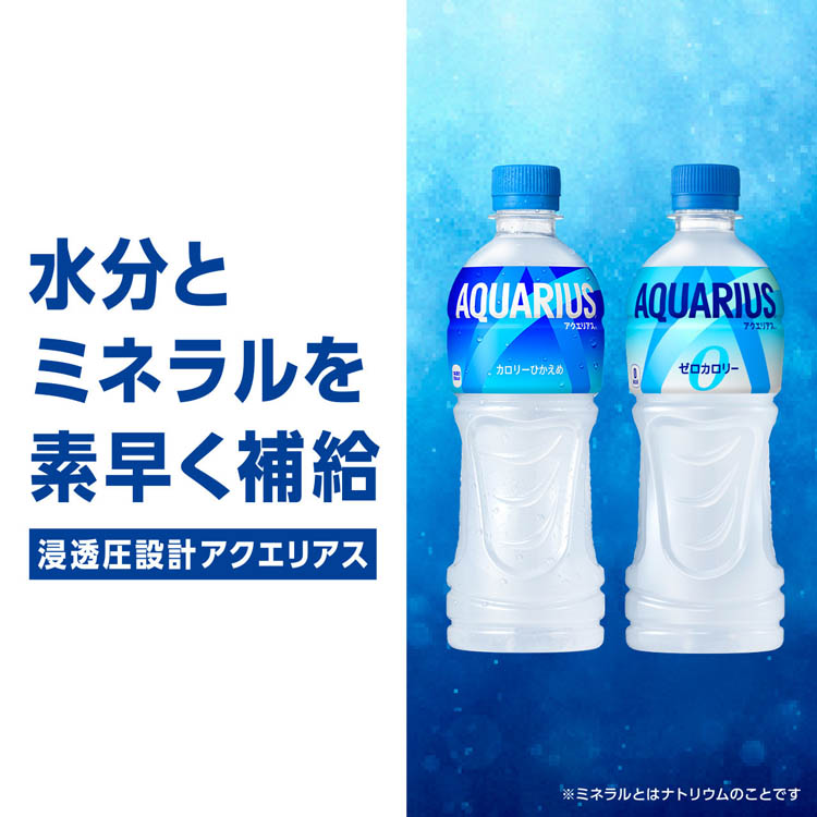 アクエリアス 500mlPET（冷凍兼用） ( 500ml×48本セット