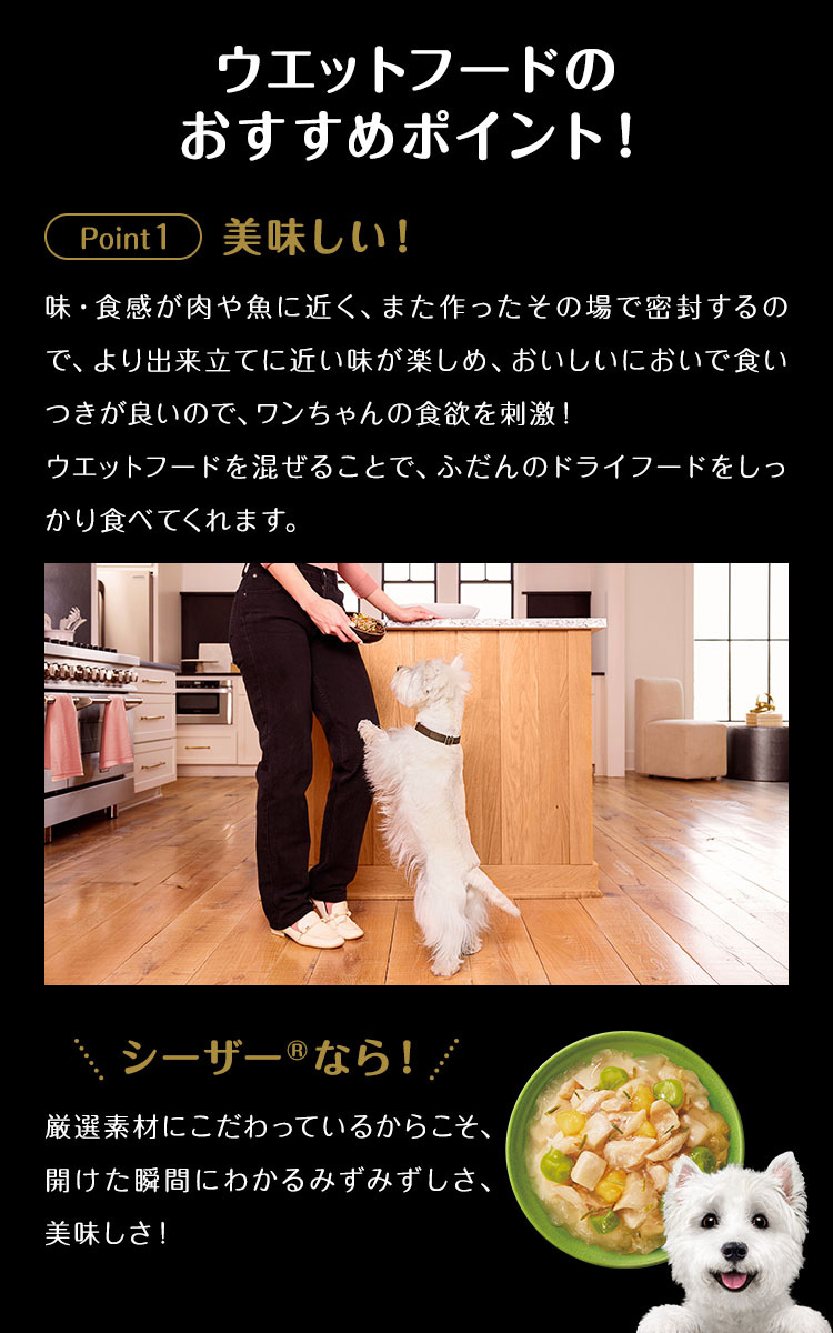 シーザー 成犬用 吟選ビーフ ドッグフード ウエット ( 100g*24コセット
