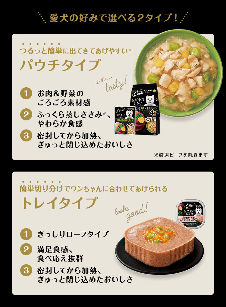 シーザー 成犬用 吟選ビーフ ドッグフード ウエット ( 100g*24コセット