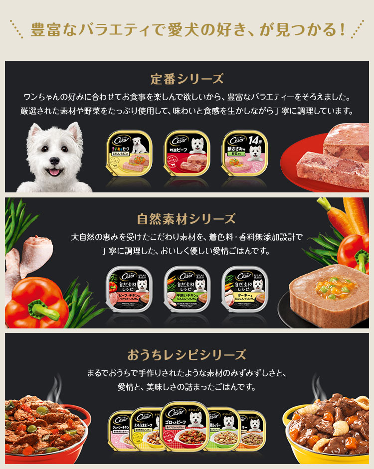 シーザー 成犬用 吟選ビーフ ドッグフード ウエット ( 100g*24コセット