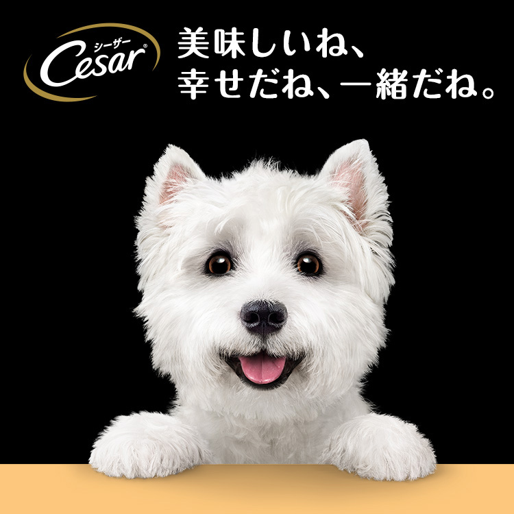 シーザー 子いぬ用 ビーフ にんじん・たまご入り ドッグフード