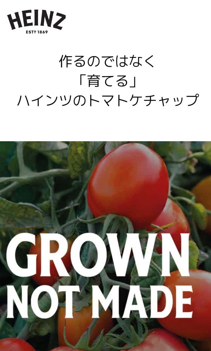 HEINZ トマトケチャップ ニットセーター M 　ハインツ 71rg-Du9XgL._AC_UL210_SR210,