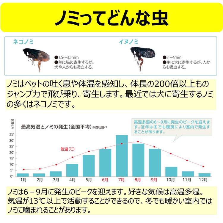 アース 電子ノミとりホイホイ ( 1セット*2個 )/ ノミとり(ペット