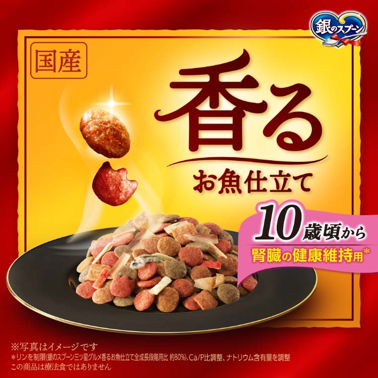 銀のスプーン 三ツ星グルメ 香るお魚仕立て 10歳頃から 4種の素材入り