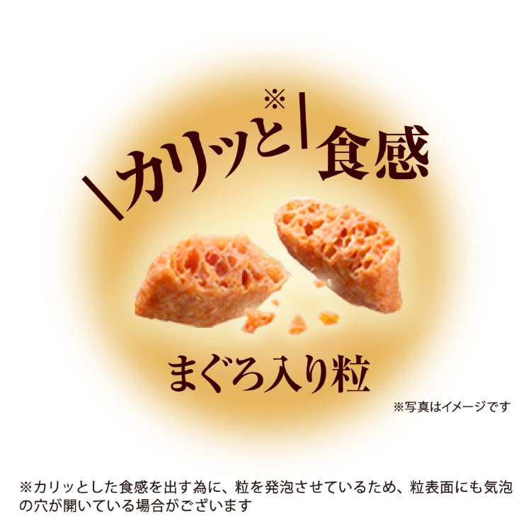 銀のスプーン 三ツ星グルメ 腎臓の健康維持用 15歳頃から お魚レシピ