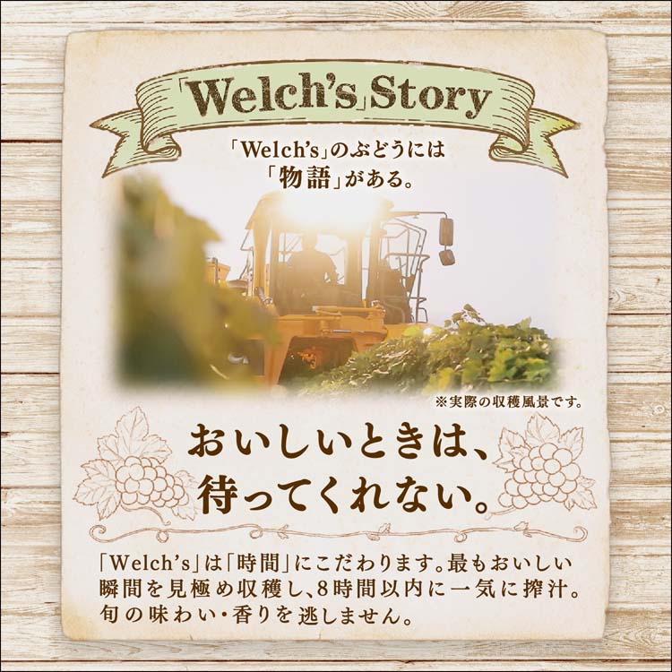 Welch's ウェルチ グレープ100 ( 800g×16本入 )/ ウェルチ(Welch´s