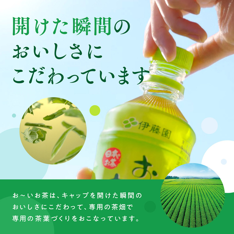 正規品! 伊藤園 お茶 お〜いお茶 500ml 525ml 600ml ×48本 24本×2ケース 選り取り 賞味期限：3ヶ月以上 3〜4営業日以内に出荷  送料無料 materialworldblog.com