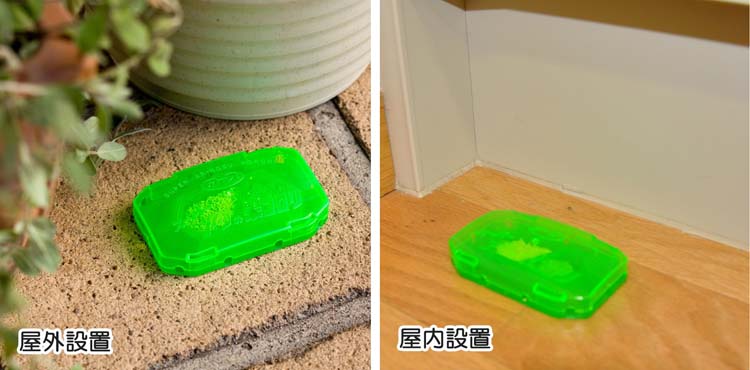 スーパーアリの巣コロリ アリ駆除剤 置き型 殺虫剤 駆除剤 毒餌 スーパーアリの巣コロリ アリ駆除剤 置き型 殺虫剤 駆除剤 毒餌