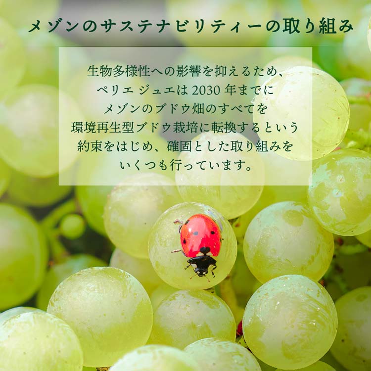 ペリエ ジュエ ベル エポック 2016 ギフト箱入り ( 750ml )/ (PERRIER
