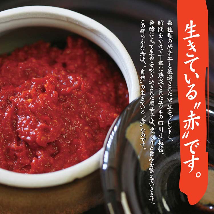 ユウキ食品 四川豆板醤 チューブ ( 100g*3コセット )/ ユウキ