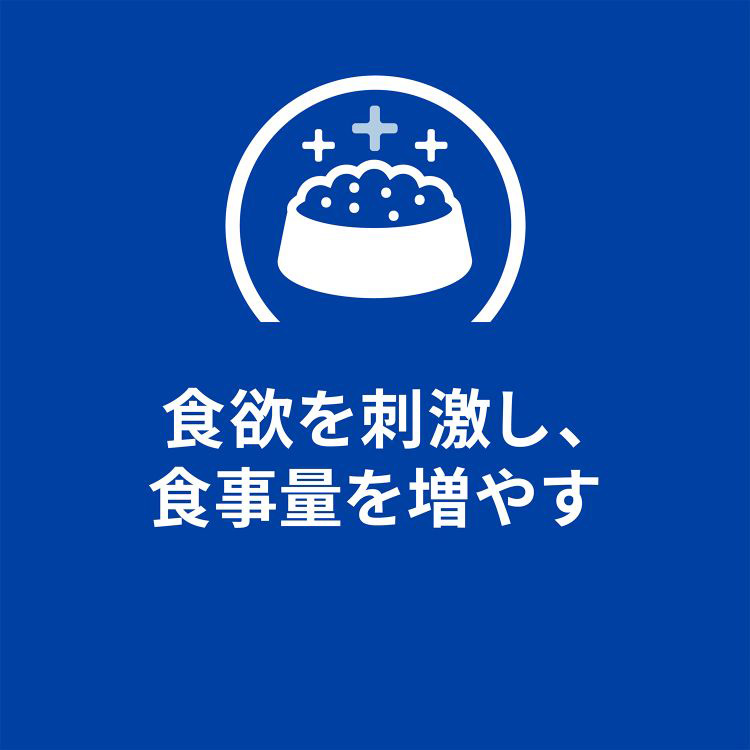 k/d 缶詰 シチュー チキン&野菜入り 腎臓ケア 猫用 特別療法食