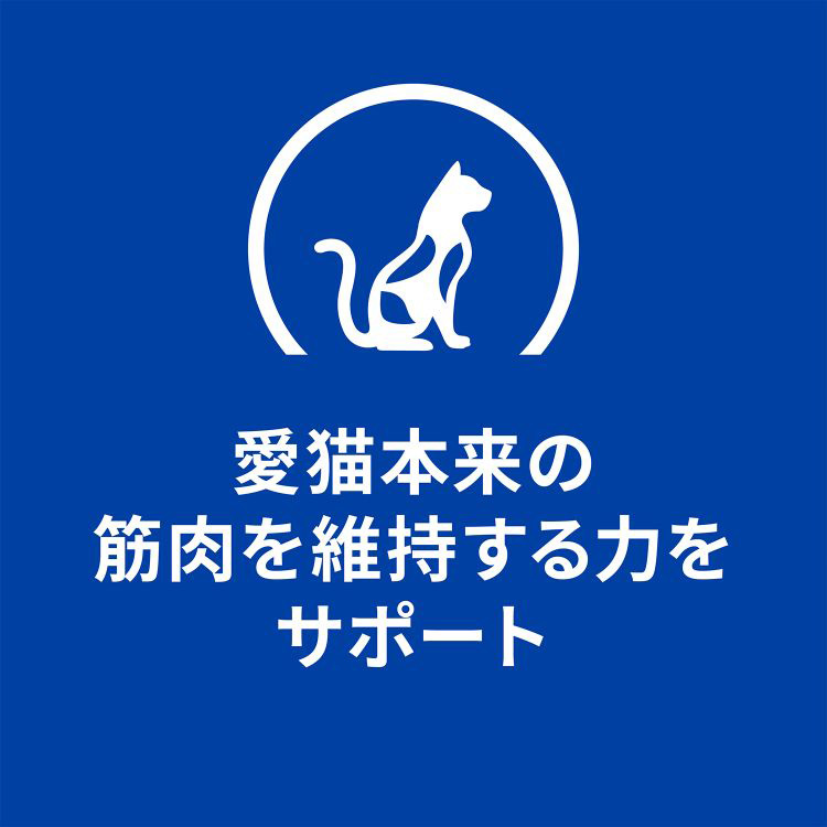 k/d 缶詰 シチュー チキン&野菜入り 腎臓ケア 猫用 特別療法食