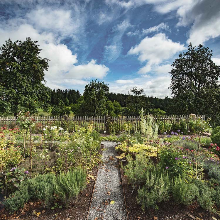 モンキー 47 ドライ・ジン 47度 クラフトジン 47種のボタニカルを使用