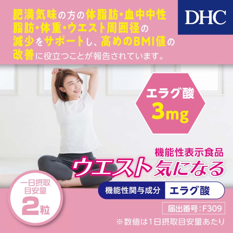 DHC ウエスト気になる 20日分 ( 40粒 )/ DHC サプリメント