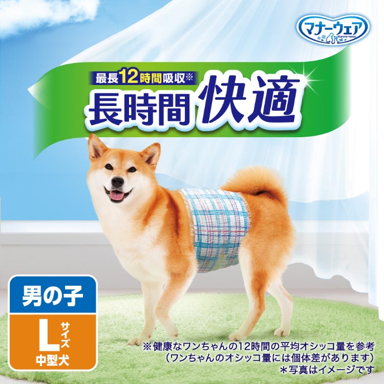 犬用マナーウェア　男の子用　Ｌサイズ　12袋セット マナーウェア 長時間快適オムツ 男の子用 L 犬用 ( 34枚 )/ マナー
