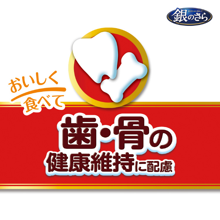 ゲリラ価格！1名様限定！揖保の糸300g（24個） 400g（12個） ゲリラ価格！1名様限定！揖保の糸300g（24個） 400g（12個） 楽天