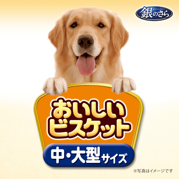 犬のチーズ専門店☆ チーズ類 - マルジョー＆ウエフク