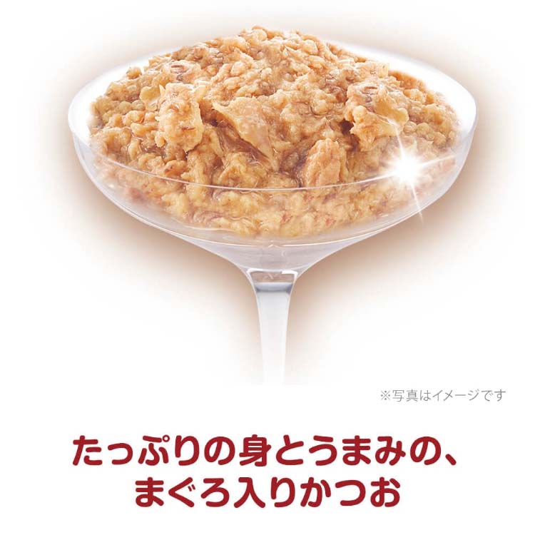 三ツ星グルメ パウチ フレーク 15歳頃から まぐろ入りかつお ( 35g*16
