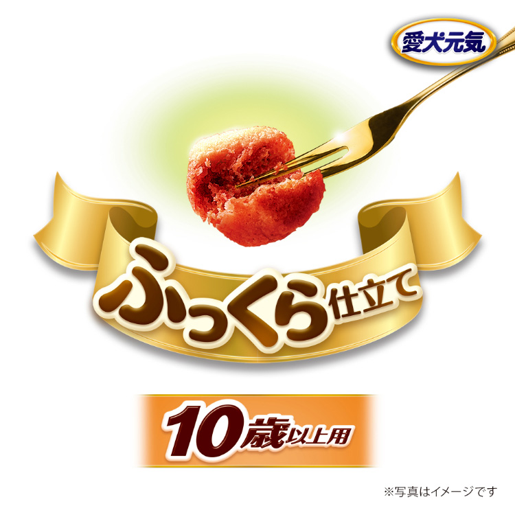 愛犬元気 パックン 10歳以上用 ビーフ・ささみ・緑黄色野菜・小魚入り